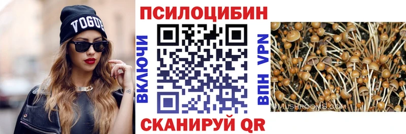 Галлюциногенные грибы Psilocybe  цены наркотик  Артёмовский 